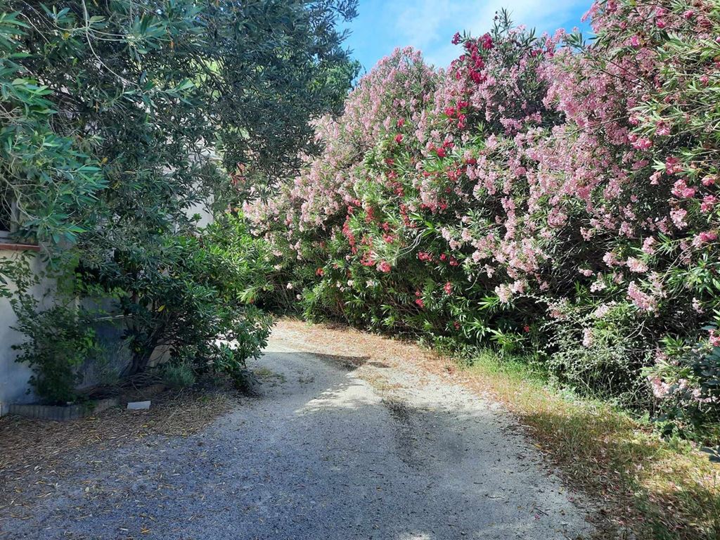 Local professionnel AVIGNON (84000) AXTHON IMMOBILIER